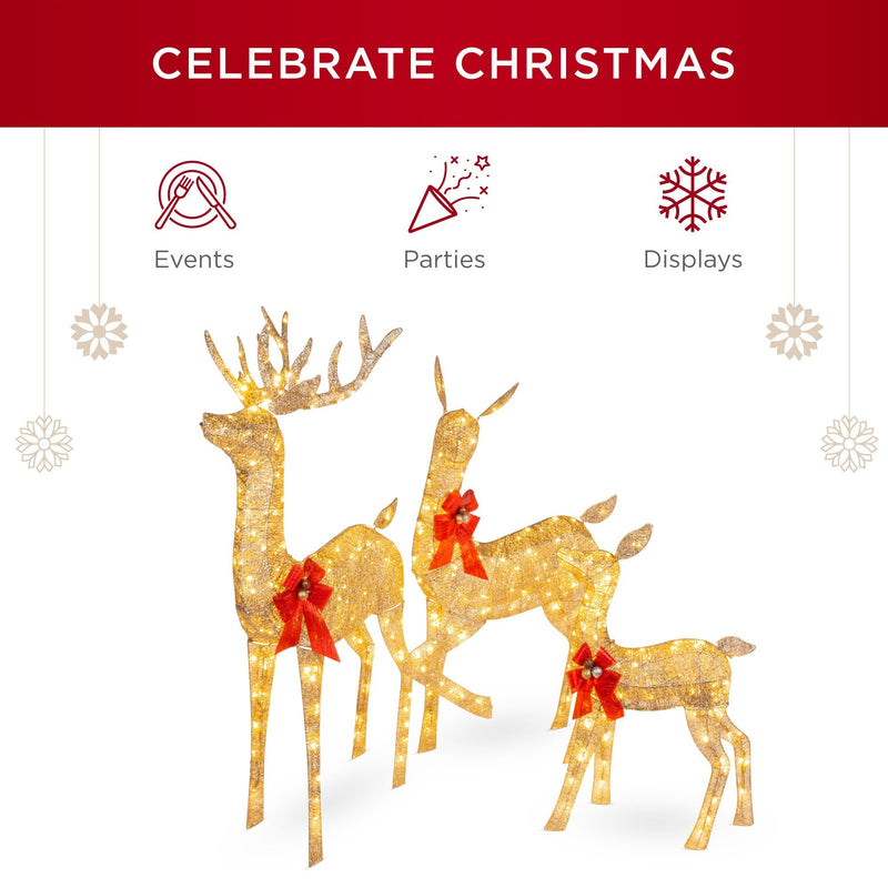 3-Piece Lighted Christmas Deer Set Outdoor Decor with LED Lights - Kivo Store