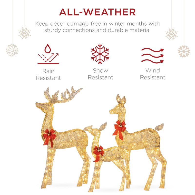 3-Piece Lighted Christmas Deer Set Outdoor Decor with LED Lights - Kivo Store