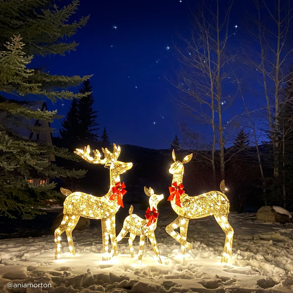 3-Piece Lighted Christmas Deer Set Outdoor Decor with LED Lights - Kivo Store